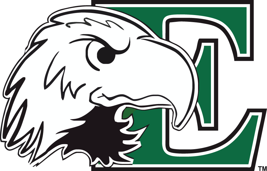 Eastern Michigan Eagles 2003-2012 Primary Logo iron on transfers for clothing